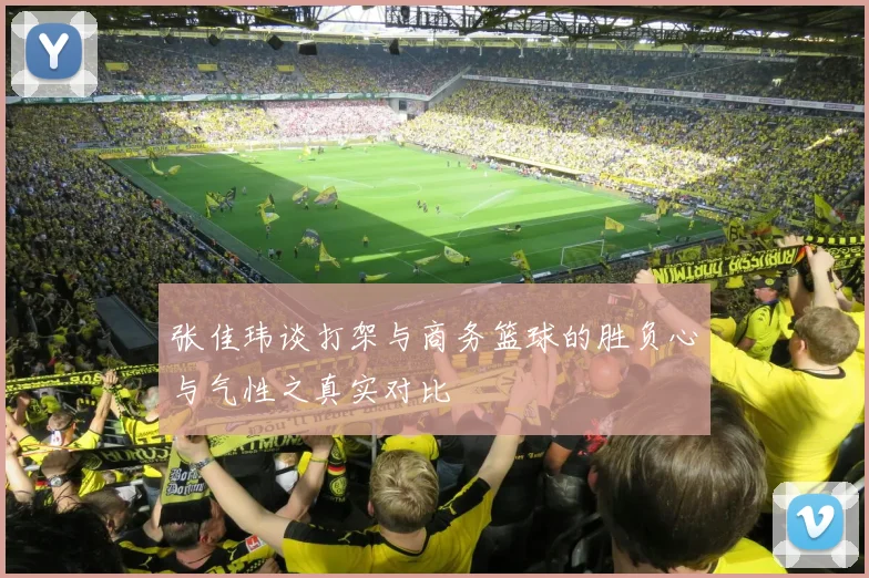 张佳玮谈打架与商务篮球的胜负心与气性之真实对比